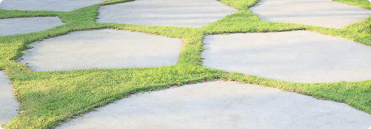 privacy policy プライバシーポリシー